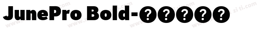 JunePro Bold字体转换